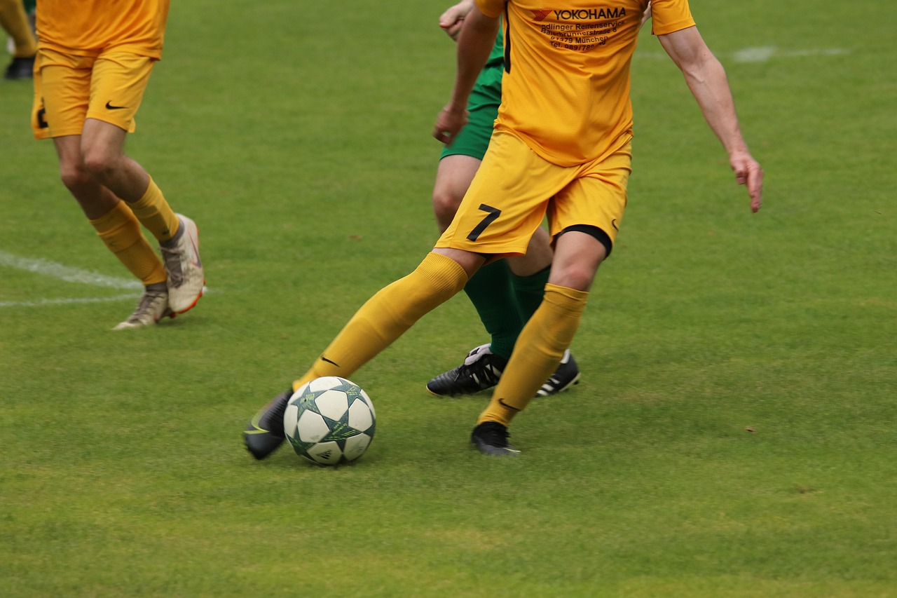 適應新體系 適應新體系